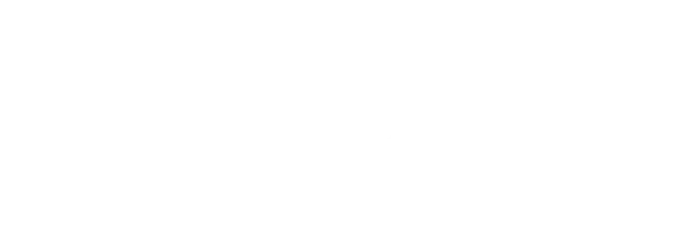 DE Group, Inc.
